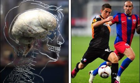 Brain Centered Learning